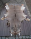 africa-Tannery, tanning of skins