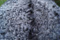 gotland_sheepskin-Tannery, tanning of skins