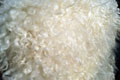 gotland_sheepskin-Tannery, tanning of skins