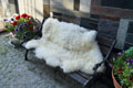 gotland_sheepskin-Tannery, tanning of skins