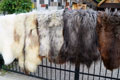 heidschnucke_sheepskin-Tannery, tanning of skins