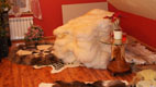 sheep_skin-Tannery, tanning of skins